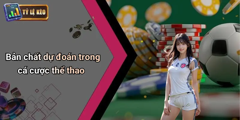 Dự Đoán 1 Dự Đoán