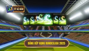 Bảng xếp hạng Bundesliga 2025: Toàn cảnh cuộc đua hấp dẫn 9 Bảng xếp hạng Bundesliga 2025
